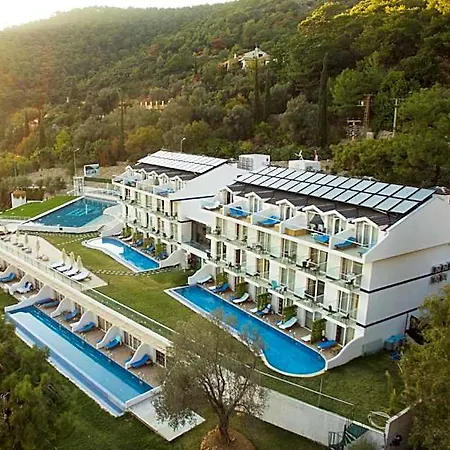 King Royal Palace Oludeniz Hotel Cedit